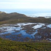 Tussen berg en see en soetwatervlei! - Johann Kotze